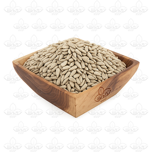 مغز تخمه آفتاب گردان